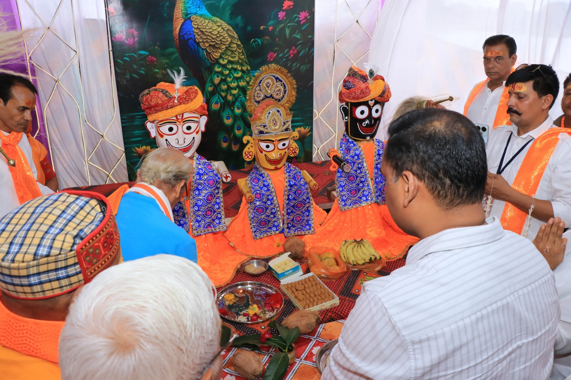 यात्रा में कलेक्टर हुए शामिल, की पूजा-अर्चना एवं रथ सेवा